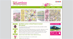 Desktop Screenshot of kooslamboo.com